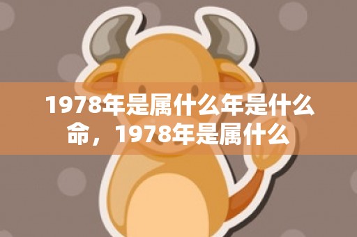 1978年是属什么年是什么命，1978年是属什么