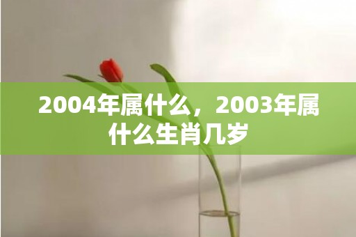 2004年属什么，2003年属什么生肖几岁