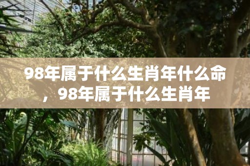 98年属于什么生肖年什么命，98年属于什么生肖年