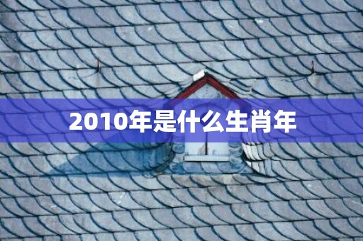 2010年是什么生肖年