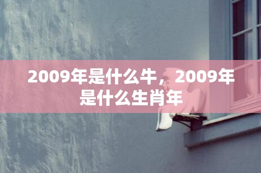 2009年是什么牛，2009年是什么生肖年