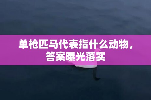 单枪匹马代表指什么动物，答案曝光落实