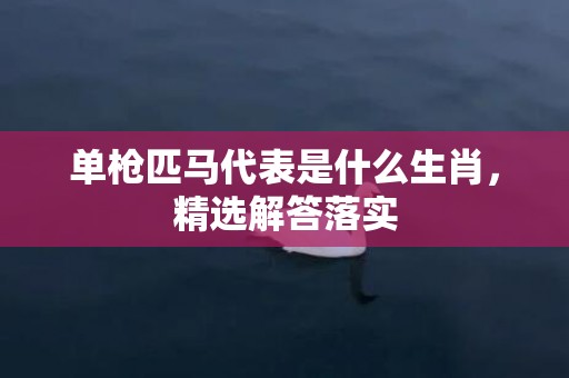 单枪匹马代表是什么生肖，精选解答落实