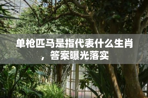 单枪匹马是指代表什么生肖，答案曝光落实