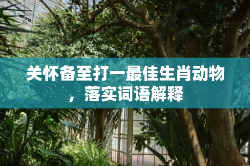 关怀备至打一最佳生肖动物，落实词语解释