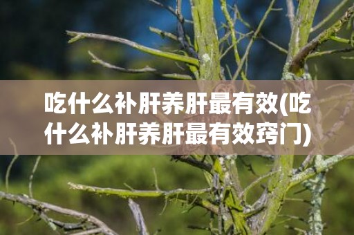 吃什么补肝养肝最有效(吃什么补肝养肝最有效窍门)