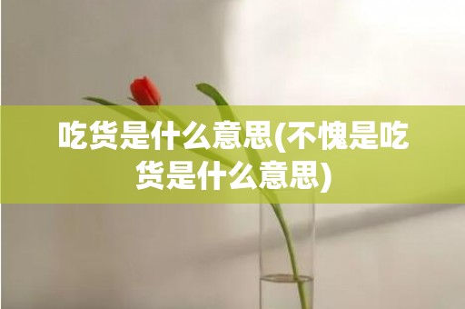 吃货是什么意思(不愧是吃货是什么意思)