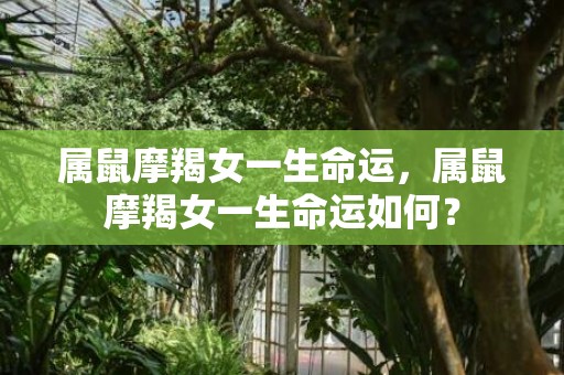 属鼠摩羯女一生命运，属鼠摩羯女一生命运如何？