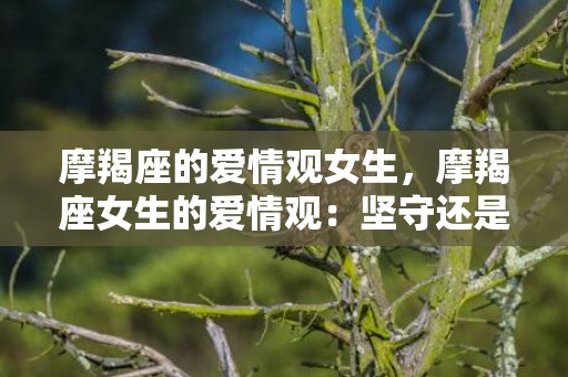 摩羯座的爱情观女生，摩羯座女生的爱情观：坚守还是放手？