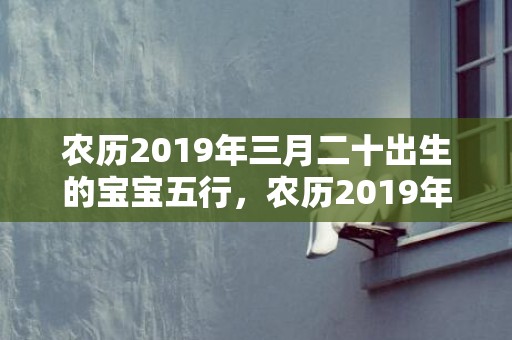 农历2019年三月二十出生的宝宝五行，农历2019年三月初七丑时出生的女宝宝起什么名字好听，五行属什么