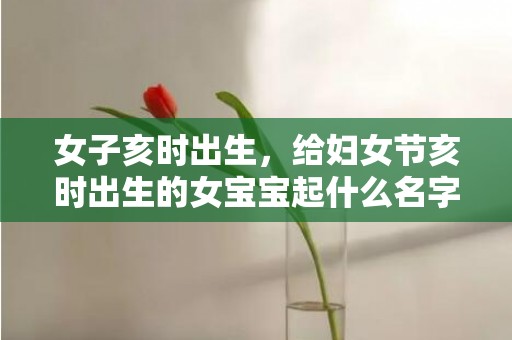 女子亥时出生，给妇女节亥时出生的女宝宝起什么名字比较好