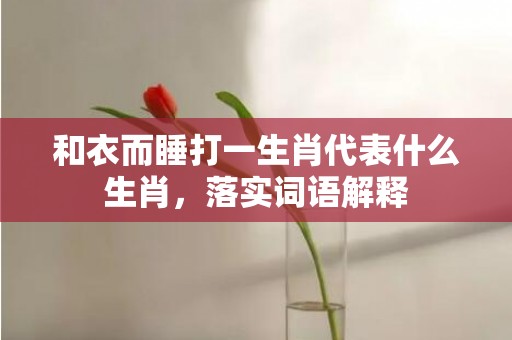 和衣而睡打一生肖代表什么生肖，落实词语解释