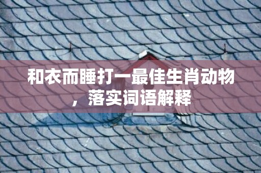 和衣而睡打一最佳生肖动物，落实词语解释