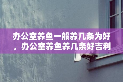 办公室养鱼一般养几条为好，办公室养鱼养几条好吉利