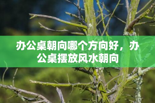 办公桌朝向哪个方向好，办公桌摆放风水朝向