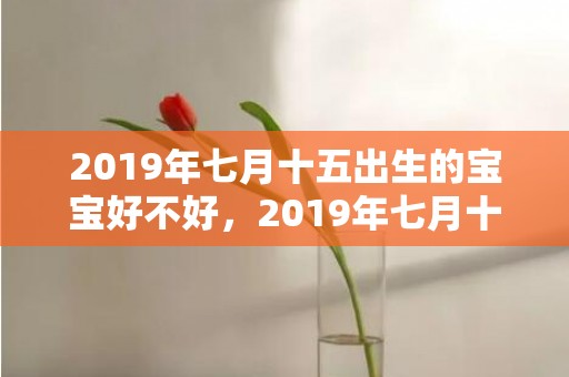 2019年七月十五出生的宝宝好不好，2019年七月十二出生的男孩怎样起名字，五行属什么