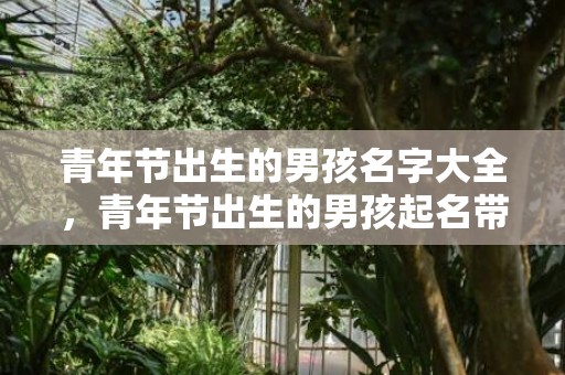 青年节出生的男孩名字大全，青年节出生的男孩起名带什么字好，用哪些字比较合适