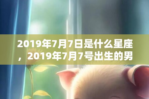 2019年7月7日是什么星座，2019年7月7号出生的男宝宝五行缺木要如何起名字