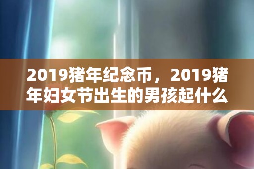 2019猪年纪念币，2019猪年妇女节出生的男孩起什么名字合适，宜用什么字