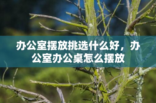 办公室摆放挑选什么好，办公室办公桌怎么摆放