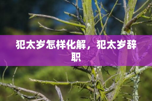 犯太岁怎样化解，犯太岁辞职