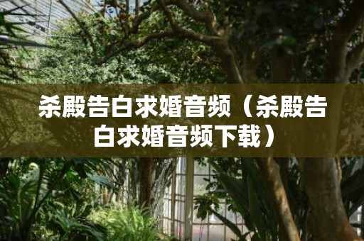 杀殿告白求婚音频（杀殿告白求婚音频下载）