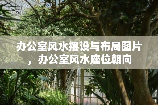 办公室风水摆设与布局图片，办公室风水座位朝向