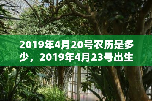 2019年4月20号农历是多少，2019年4月23号出生的女宝宝五行缺土如何起名呢