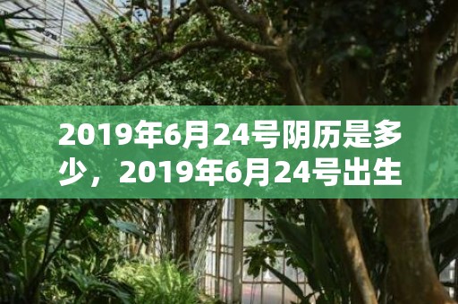 2019年6月24号阴历是多少，2019年6月24号出生的女宝宝五行缺土要怎么起名字