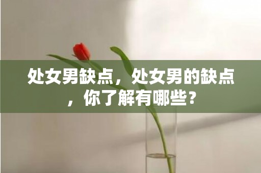 处女男缺点，处女男的缺点，你了解有哪些？