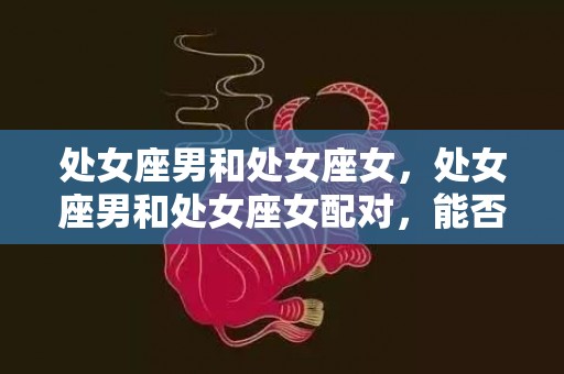 处女座男和处女座女，处女座男和处女座女配对，能否达到完美的默契？