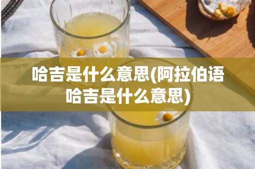 哈吉是什么意思(阿拉伯语哈吉是什么意思)