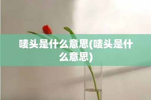 唛头是什么意思(唛头是什么意思)