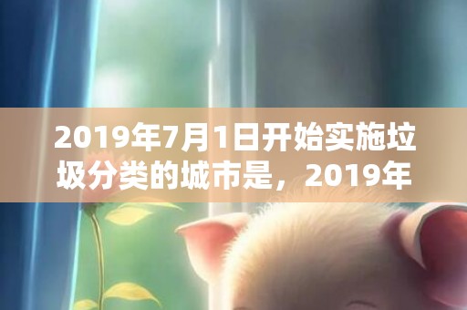 2019年7月1日开始实施垃圾分类的城市是，2019年7月18号出生的女宝宝五行缺金要怎么起名字