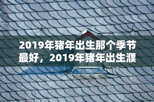 2019年猪年出生那个季节最好，2019年猪年出生濮阳姓女孩怎么样起名字，濮阳姓女孩好名推荐