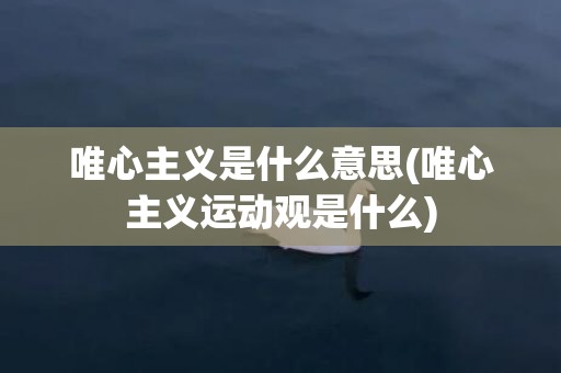 唯心主义是什么意思(唯心主义运动观是什么)