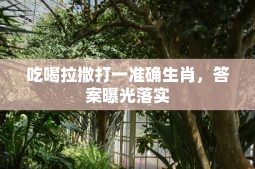 吃喝拉撒打一准确生肖，答案曝光落实