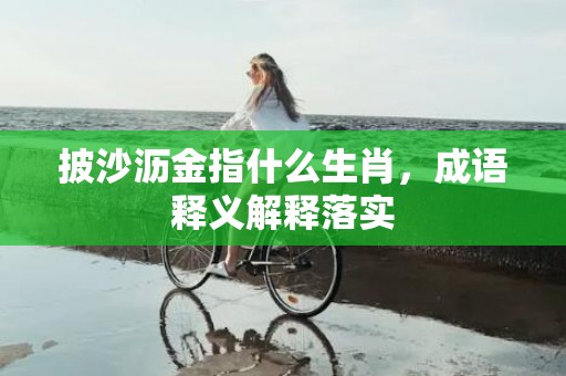 披沙沥金指什么生肖，成语释义解释落实