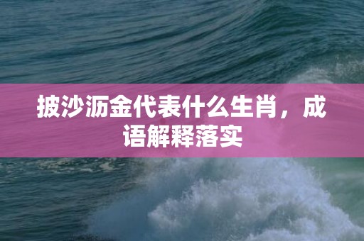 披沙沥金代表什么生肖，成语解释落实