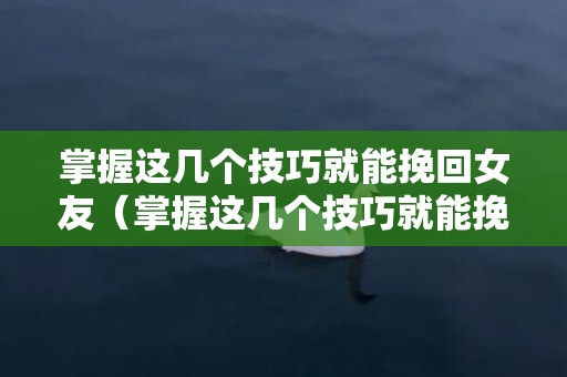 掌握这几个技巧就能挽回女友（掌握这几个技巧就能挽回女友的句子）