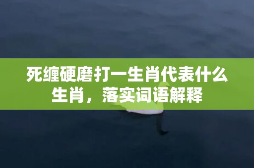 死缠硬磨打一生肖代表什么生肖，落实词语解释