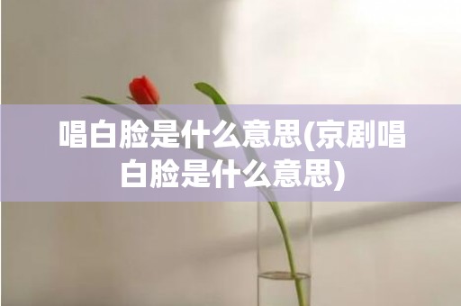 唱白脸是什么意思(京剧唱白脸是什么意思)