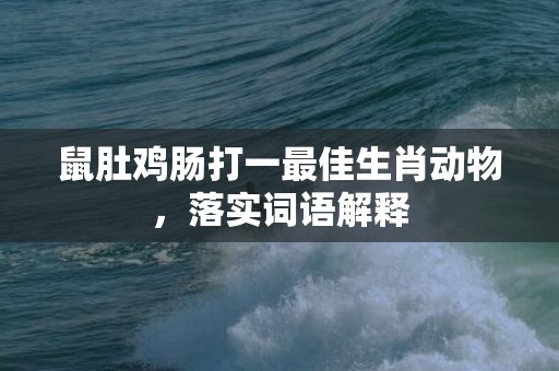 鼠肚鸡肠打一最佳生肖动物，落实词语解释