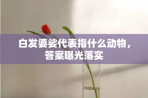 白发婆娑代表指什么动物，答案曝光落实