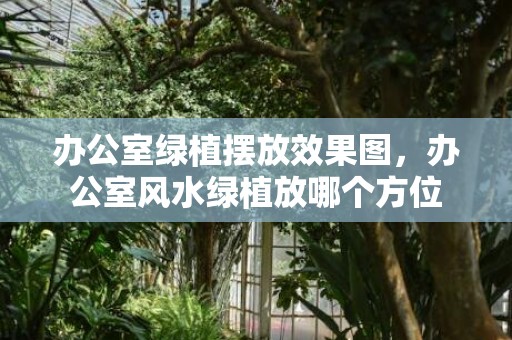 办公室绿植摆放效果图，办公室风水绿植放哪个方位