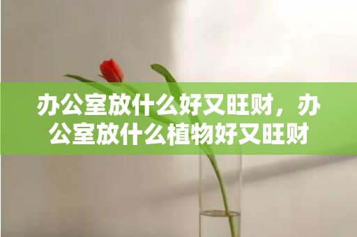 办公室放什么好又旺财，办公室放什么植物好又旺财