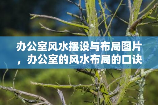 办公室风水摆设与布局图片，办公室的风水布局的口诀