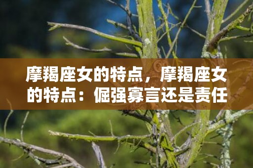 摩羯座女的特点，摩羯座女的特点：倔强寡言还是责任感满满？