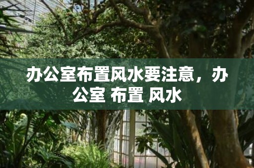 办公室布置风水要注意，办公室 布置 风水