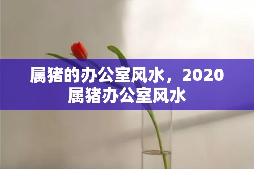 属猪的办公室风水，2020属猪办公室风水